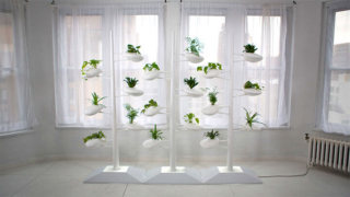 Hydroponic-Planter zdj danielletrofe,Com Hydroponic-Planter zdj danielletrofe,Com
