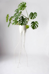 Monstera-Plant-Pot Monstera-Plant-Pot